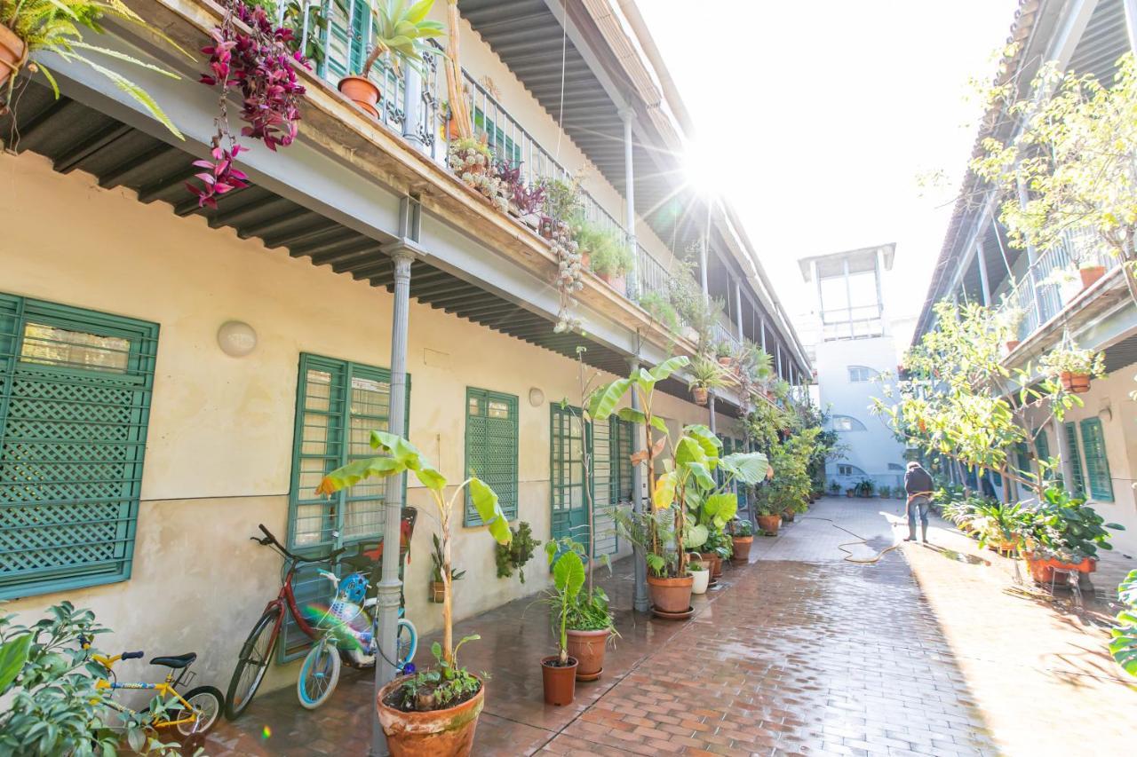 Apartamento 3 Dormitorios En Calle San Vicente. Siviglia Esterno foto